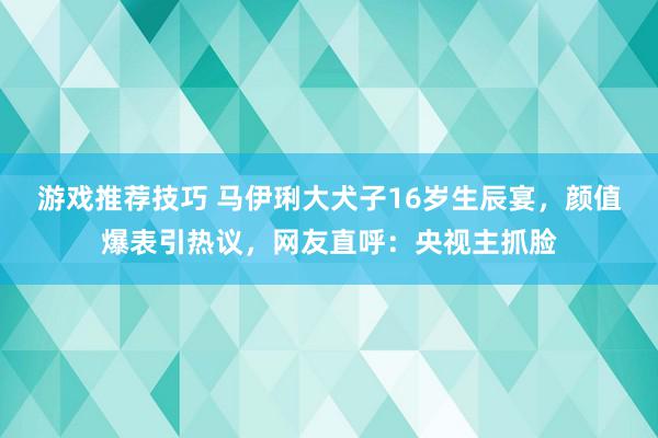 游戏推荐技巧 马伊琍大犬子16岁生辰宴，颜值爆表引热议，网友直呼：央视主抓脸