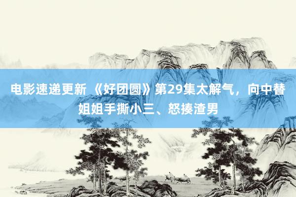 电影速递更新 《好团圆》第29集太解气，向中替姐姐手撕小三、怒揍渣男