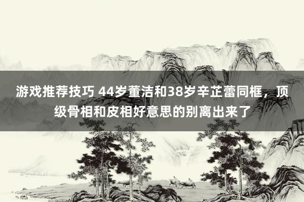 游戏推荐技巧 44岁董洁和38岁辛芷蕾同框，顶级骨相和皮相好意思的别离出来了