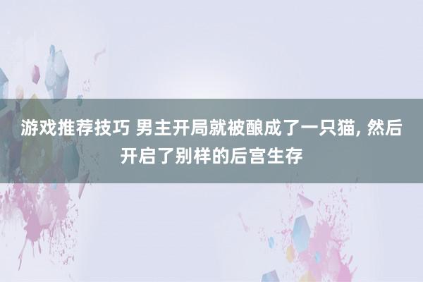 游戏推荐技巧 男主开局就被酿成了一只猫, 然后开启了别样的后宫生存