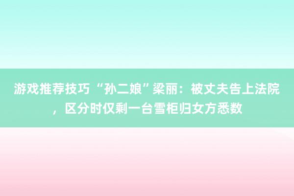 游戏推荐技巧 “孙二娘”梁丽：被丈夫告上法院，区分时仅剩一台雪柜归女方悉数