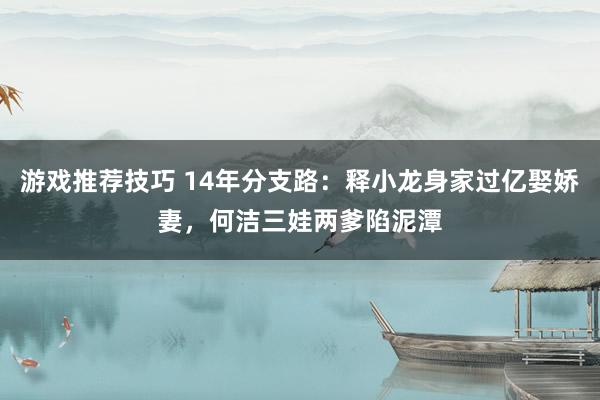 游戏推荐技巧 14年分支路：释小龙身家过亿娶娇妻，何洁三娃两爹陷泥潭